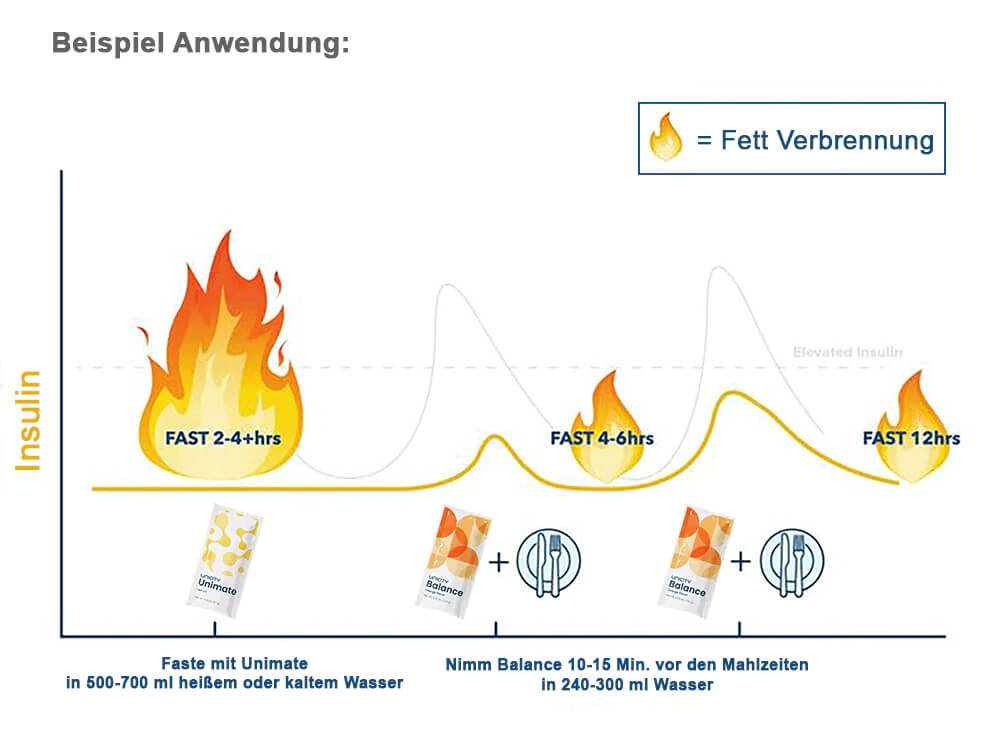 Bild Feel Great System Beispiel Fettverbrennung Insulin